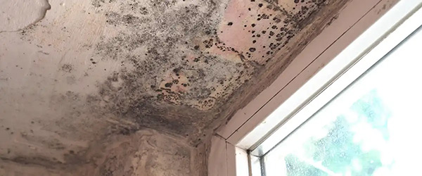 How To Spot Severe Water Damage How To Spot Severe Water Damage8