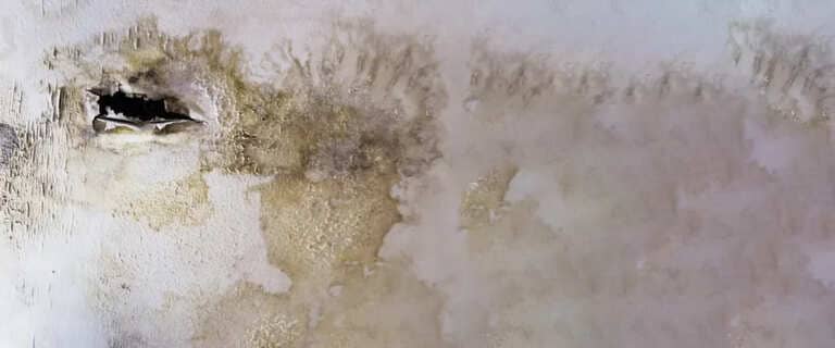 Water Damage Claims Water Damage Claims