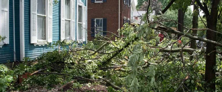 Wind Damage Claims Wind Damage Claims