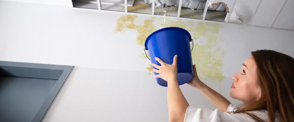 Guide On How To Repair Walls Amp Ceilings Water Damage Guide on How to Repair Walls & Ceilings Water Damage