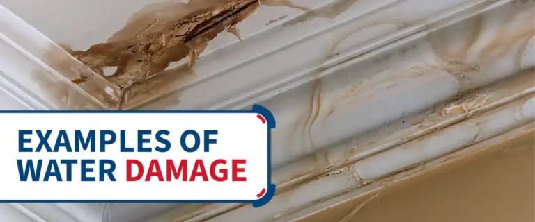 Examples of Water Damage