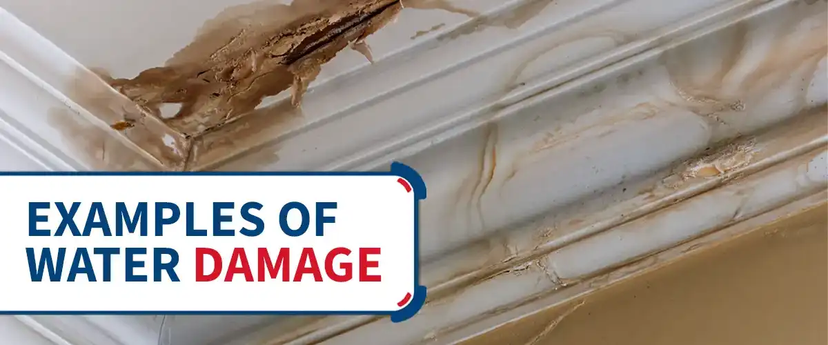 Examples of Water Damage-1