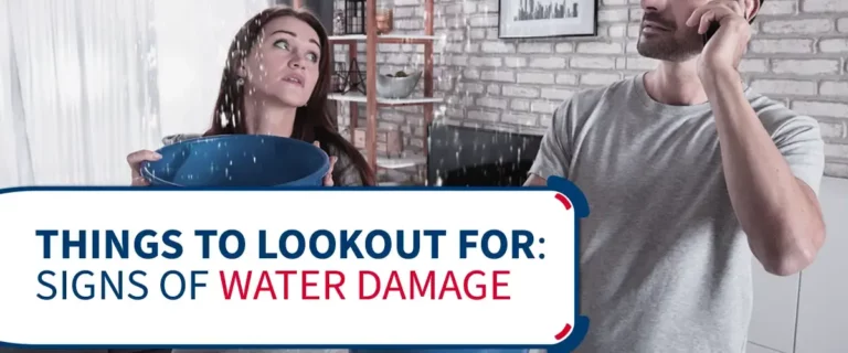 Things to Lookout For: Signs of Water Damage