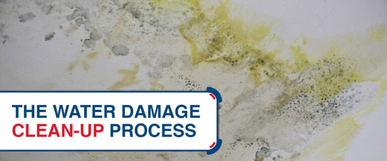 The Water Damage Clean Up Process