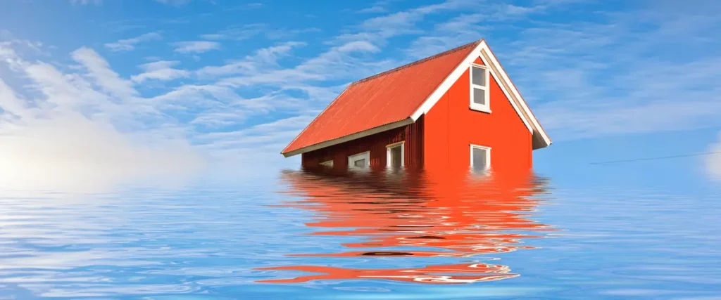 Consult Professional Flood Risk Assessment