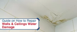 Guide on How to Repair Walls & Ceilings Water Damage