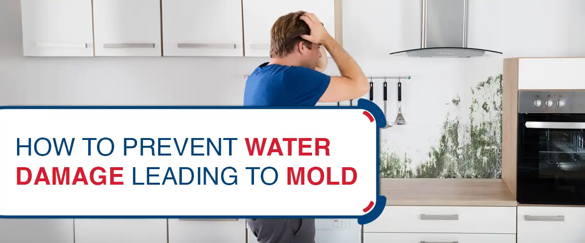 How to Prevent Water Damage Leading to Mold