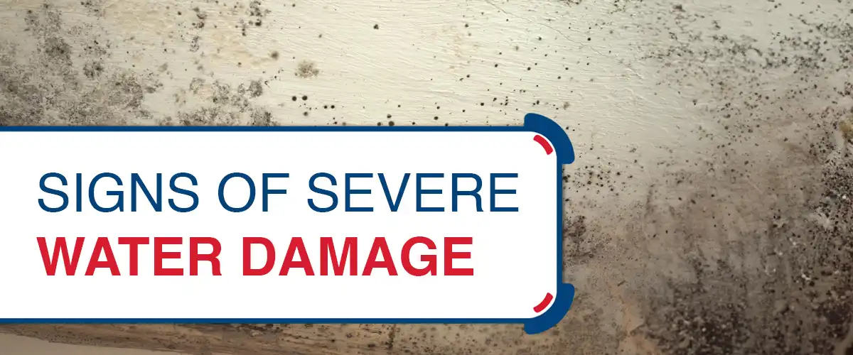 Signs of Severe Water Damage