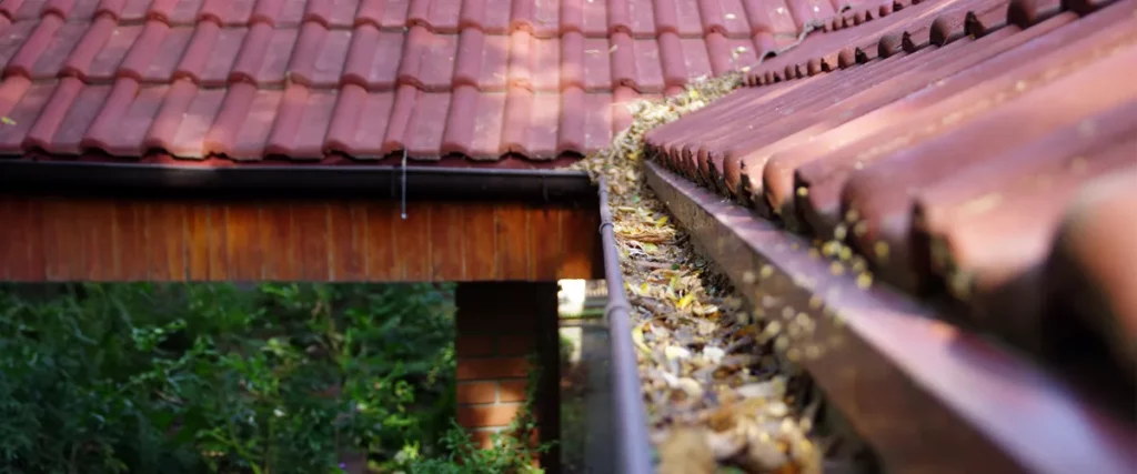 Clogged Gutters- A Recipe for Disaster