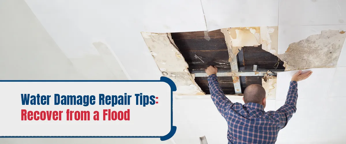 Water Damage Repair Tips- Recover from a Flood