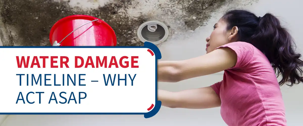 Water Damage Timeline – Why Act ASAP - Emergency Mitigation Services