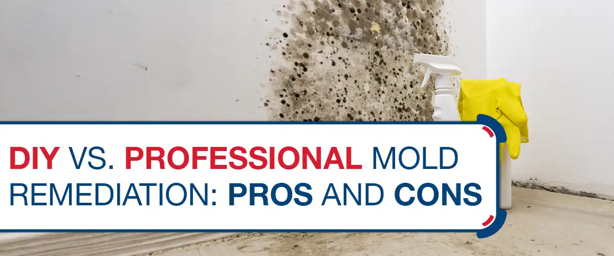 DIY vs. Professional Mold Remediation- Pros and Cons