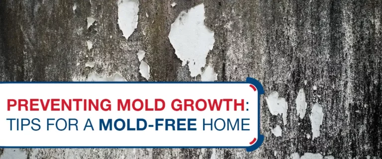 Preventing Mold Growth: Tips for a Mold-Free Home