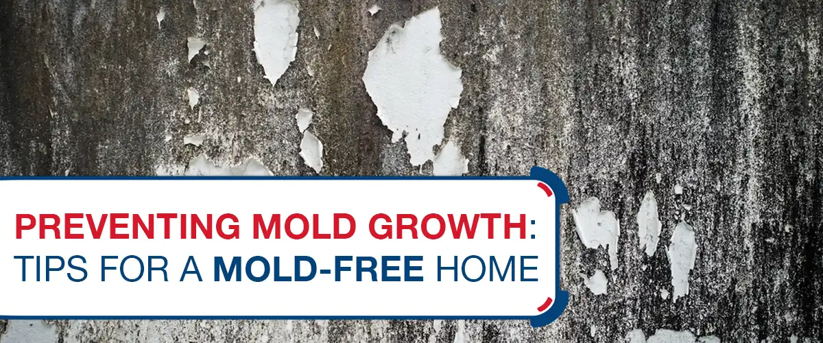 Preventing Mold Growth- Tips for a Mold-Free Home