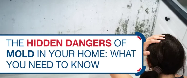 The Hidden Dangers of Mold in Your Home: What You Need to Know