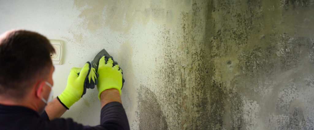 Who Pays for Mold Remediation?