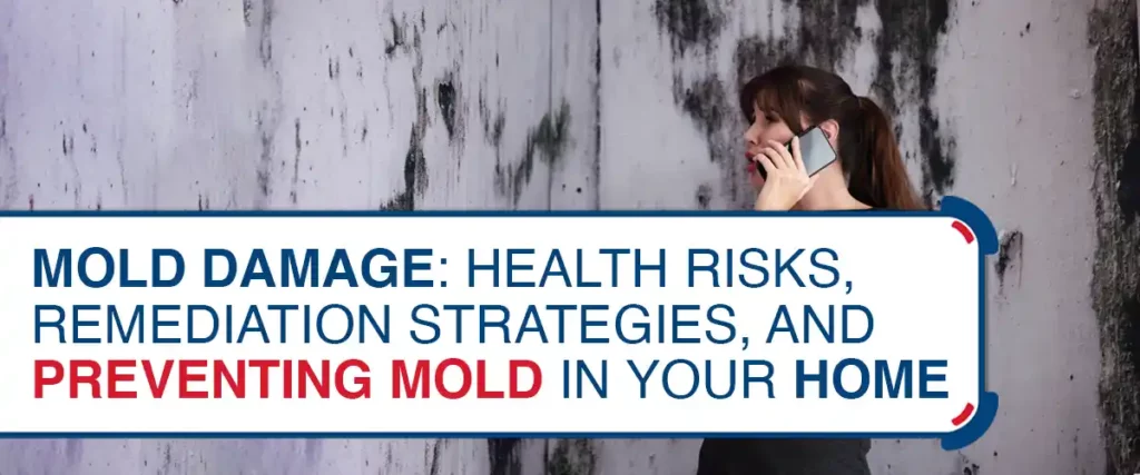 Mold Damage- Health Risks, Remediation Strategies, and Preventing Mold in Your Home