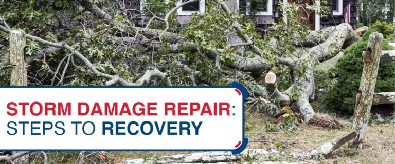 Storm Damage Repair: Steps to Recovery