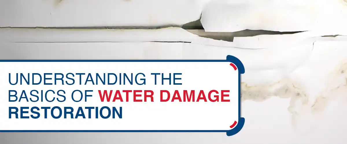 Understanding the Basics of Water Damage Restoration