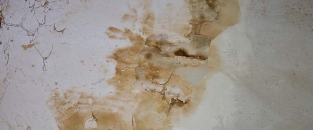 2. What are the signs of water damage in my home?