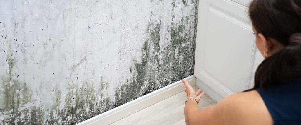 4. What proactive steps should you take to prevent mold growth in a water-damaged home?
