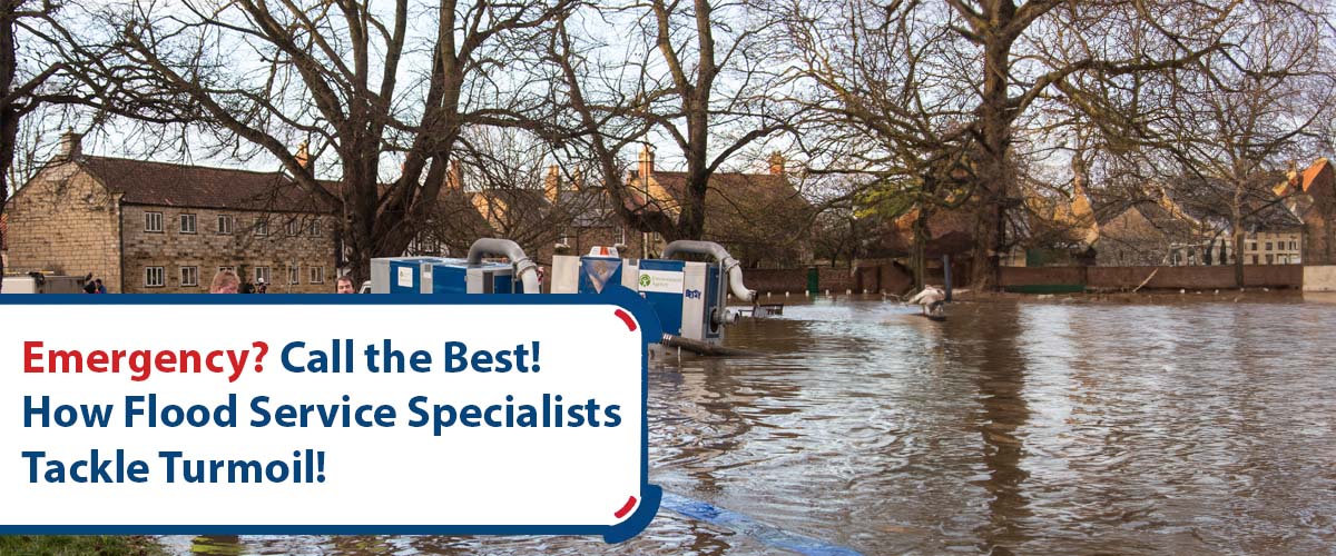 Emergency? Call the Best! How Flood Service Specialists Tackle Turmoil!