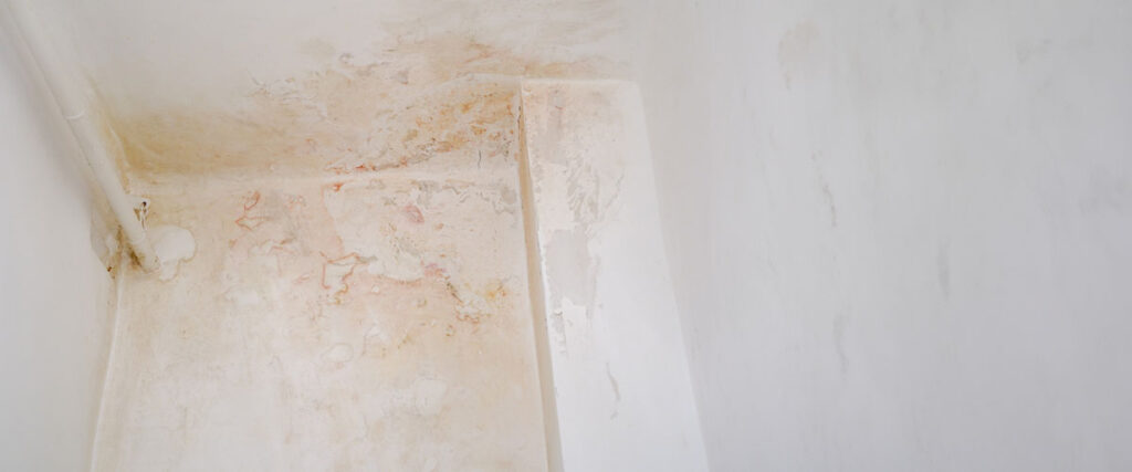 Post-Remediation- Ensuring Mold Doesn’t Return