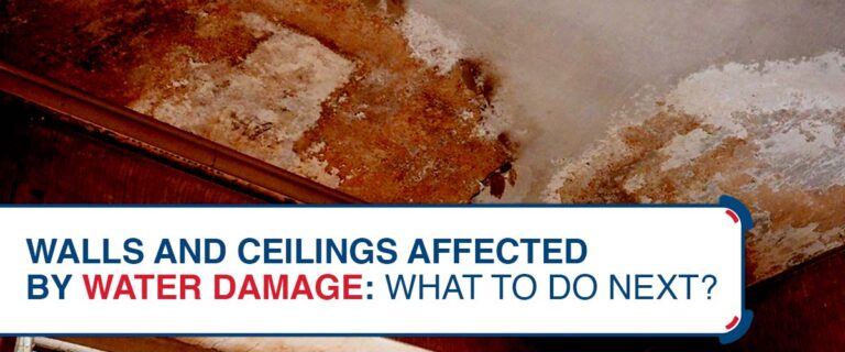 Walls and Ceilings Affected by Water Damage: What to Do Next?