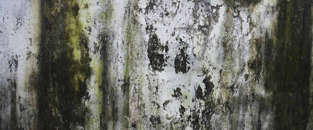 Advanced Techniques In Water Extraction And Drying Advanced Techniques In Water Extraction And Drying