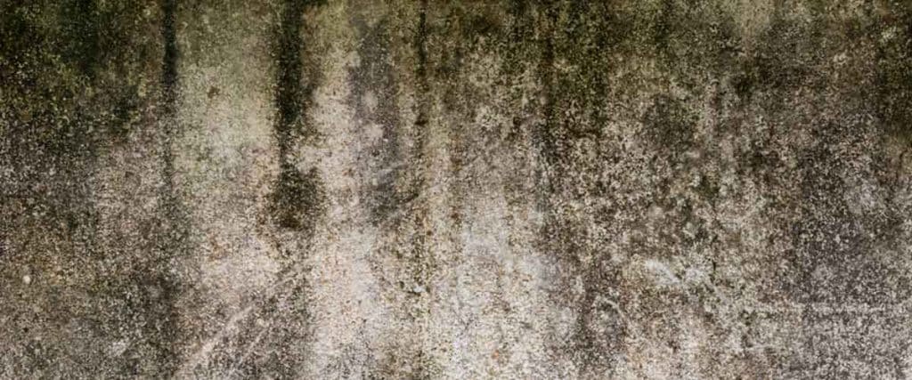 Health And Safety Top Priority In Flood Cleanup Health And Safety Top Priority In Flood Cleanup