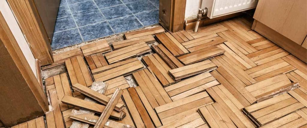 Role Of Emergency Flood Cleanup Experts Role Of Emergency Flood Cleanup Experts