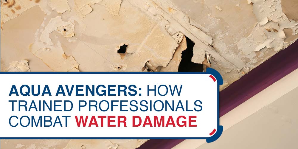 Aqua Avengers- How Trained Professionals Combat Water Damage