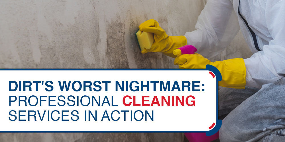 Dirt's Worst Nightmare- Professional Cleaning Services in Action