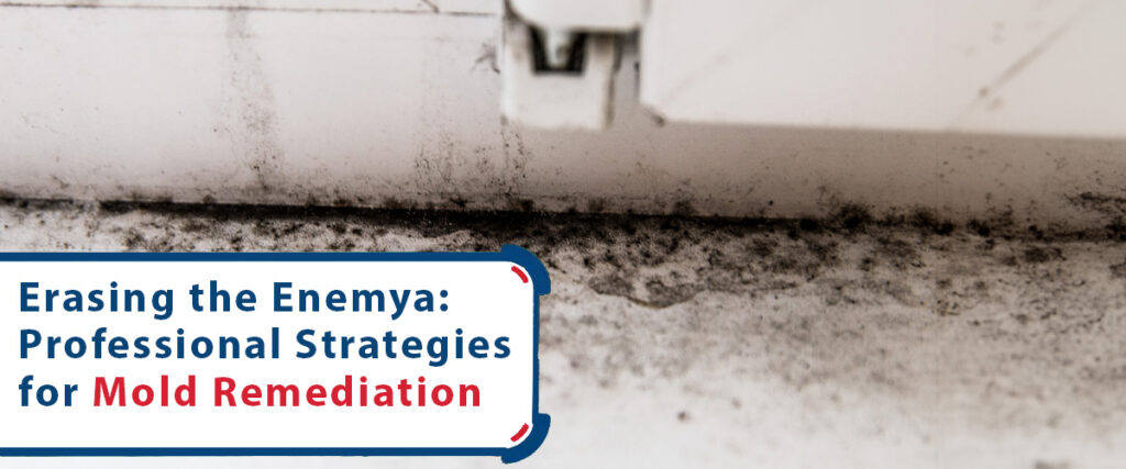 Erasing the Enemy- Professional Strategies for Mold Remediation
