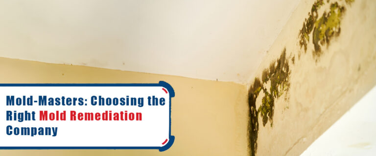 Mold-Masters: Choosing the Right Mold Remediation Company