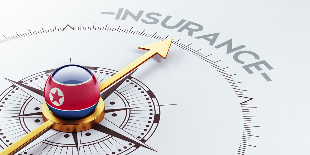Navigating Insurance and Restoration Services