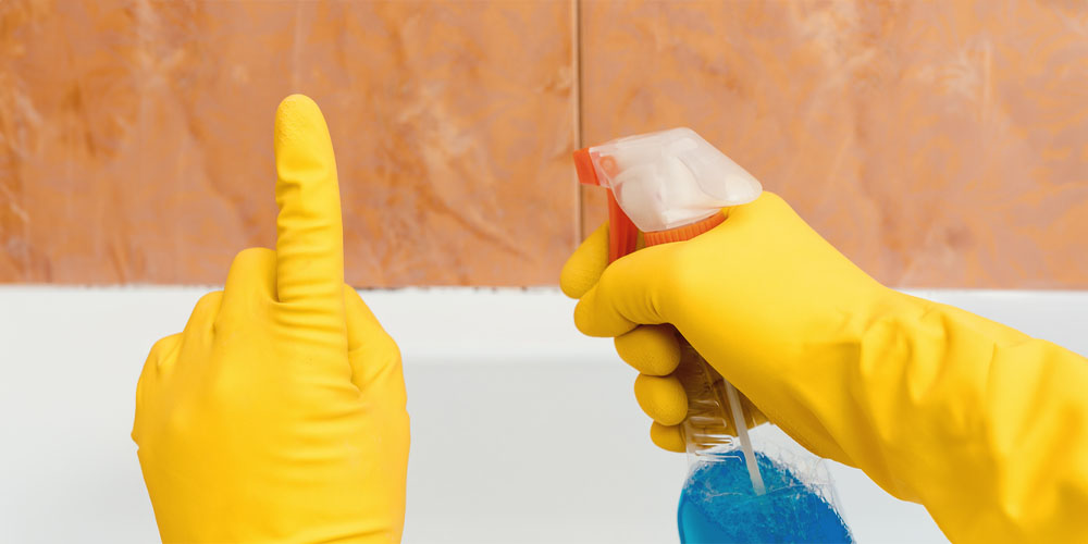 Navigating the Selection of a Cleaning Service