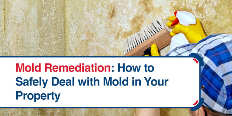 Mold Remediation: How to Safely Deal with Mold in Your Property