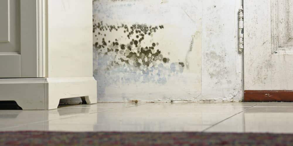 Preventing Water Damage in Your Home: Essential Tips and Tricks Essential Tips And Tricks3