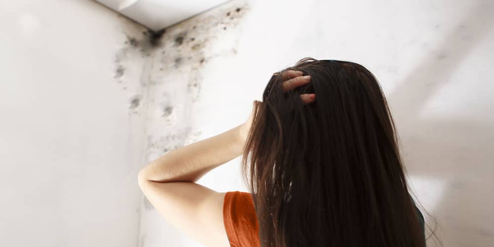 Preventing Water Damage in Your Home: Essential Tips and Tricks Essential Tips And Tricks4