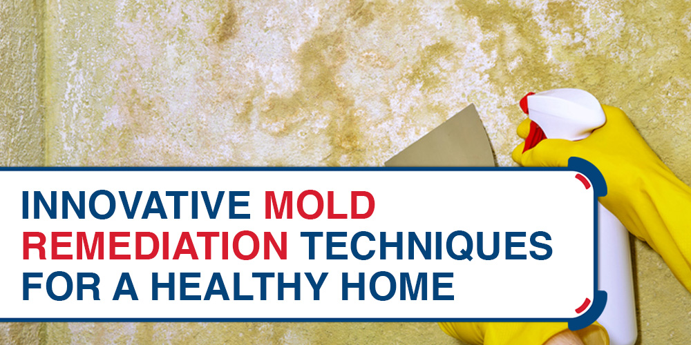 Innovative Mold Remediation Techniques for a Healthy Home