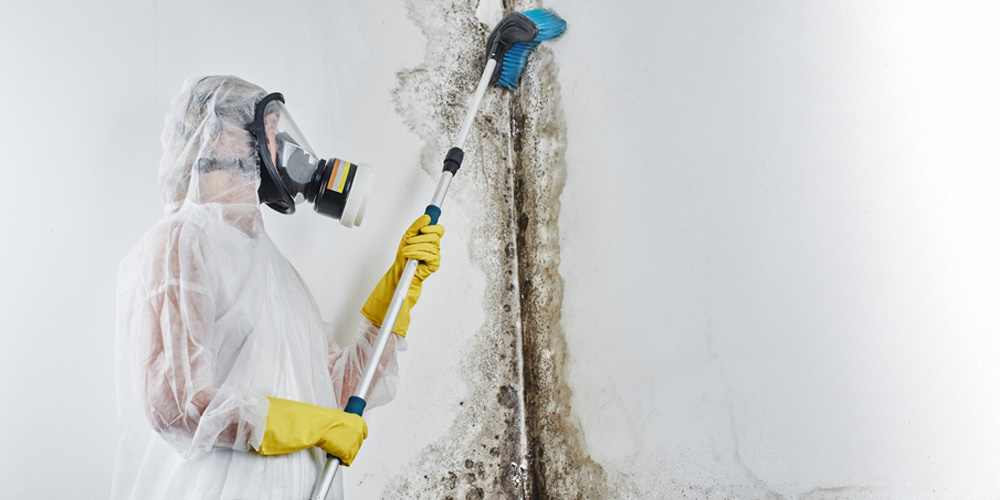 Latest Technique in Mold Remediation for Homeowners