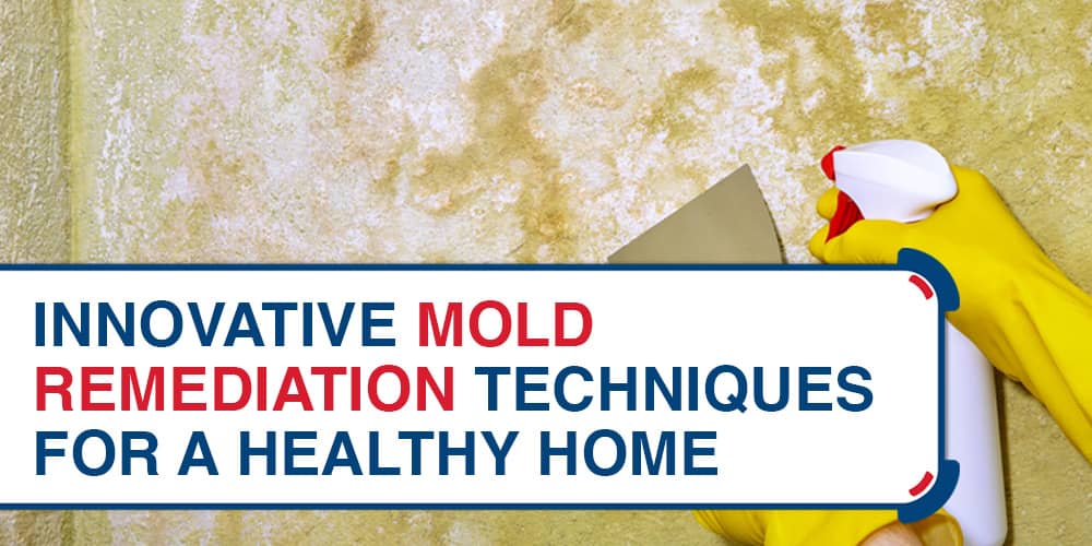 Innovative Mold Remediation Techniques for a Healthy Home Innovative Mold Remediation Techniques For A Healthy Home1