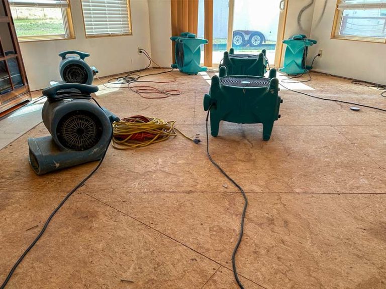 What to Expect During a Water Damage Restoration Process