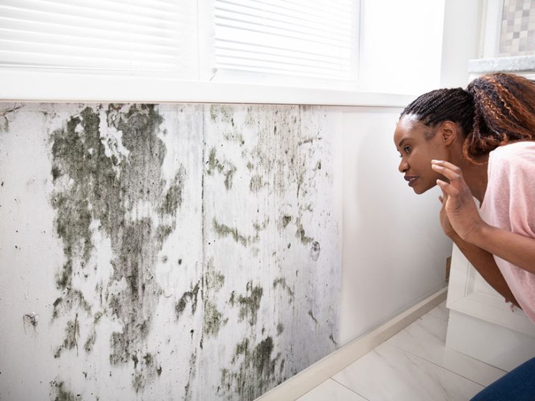 How to Get Rid of Musty Odor From Water Damage