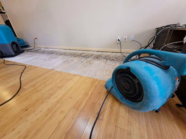 10 Frequently Asked Questions About Water Damage Restoration