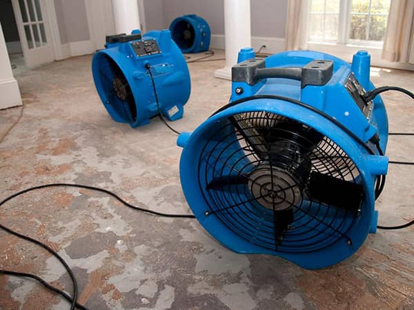 Why A Structural Dryout Is Important Why A Structural Dryout Is Important