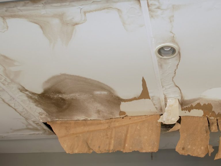 6 Signs Your Ceiling Has Sustained Water Damage