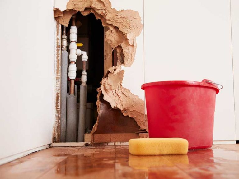 Telltale Signs of Water Damage Behind a Wall