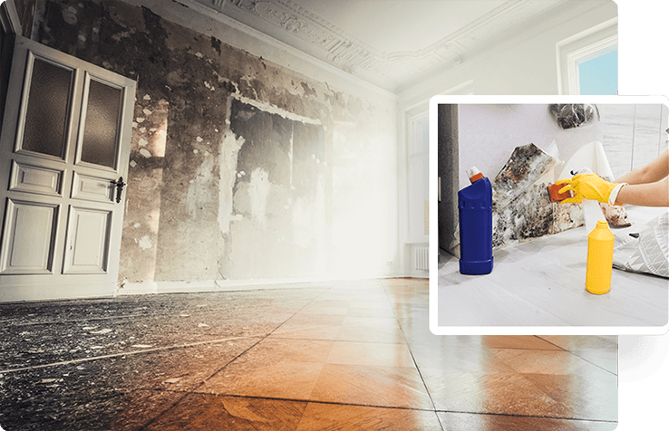 Ready to Restore Your Space, Whenever You Need Us Homepage Content1